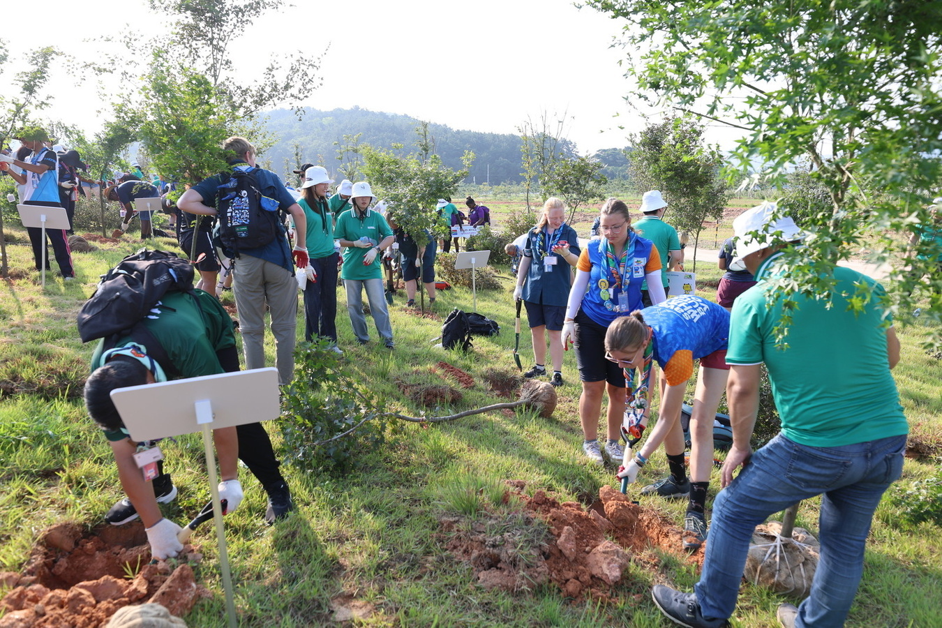 Jamboree Forest : Representatives from each contigent planted trees in Saemangeum.
