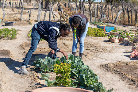 Food for Life field visit to Namibia conducted in June 2024.